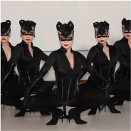 Cat Dance